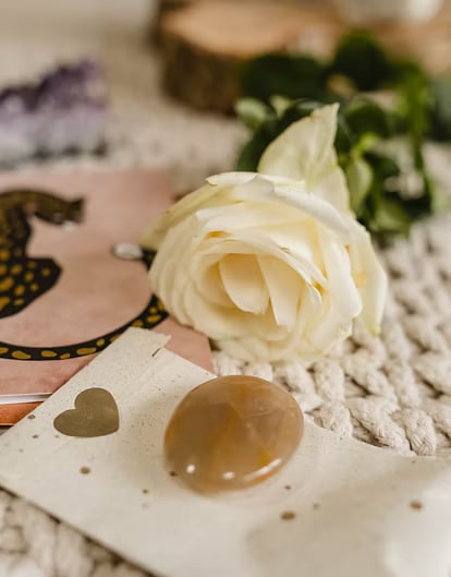 3-daagse psilocybine-retraite voor vrouwen in Nederland