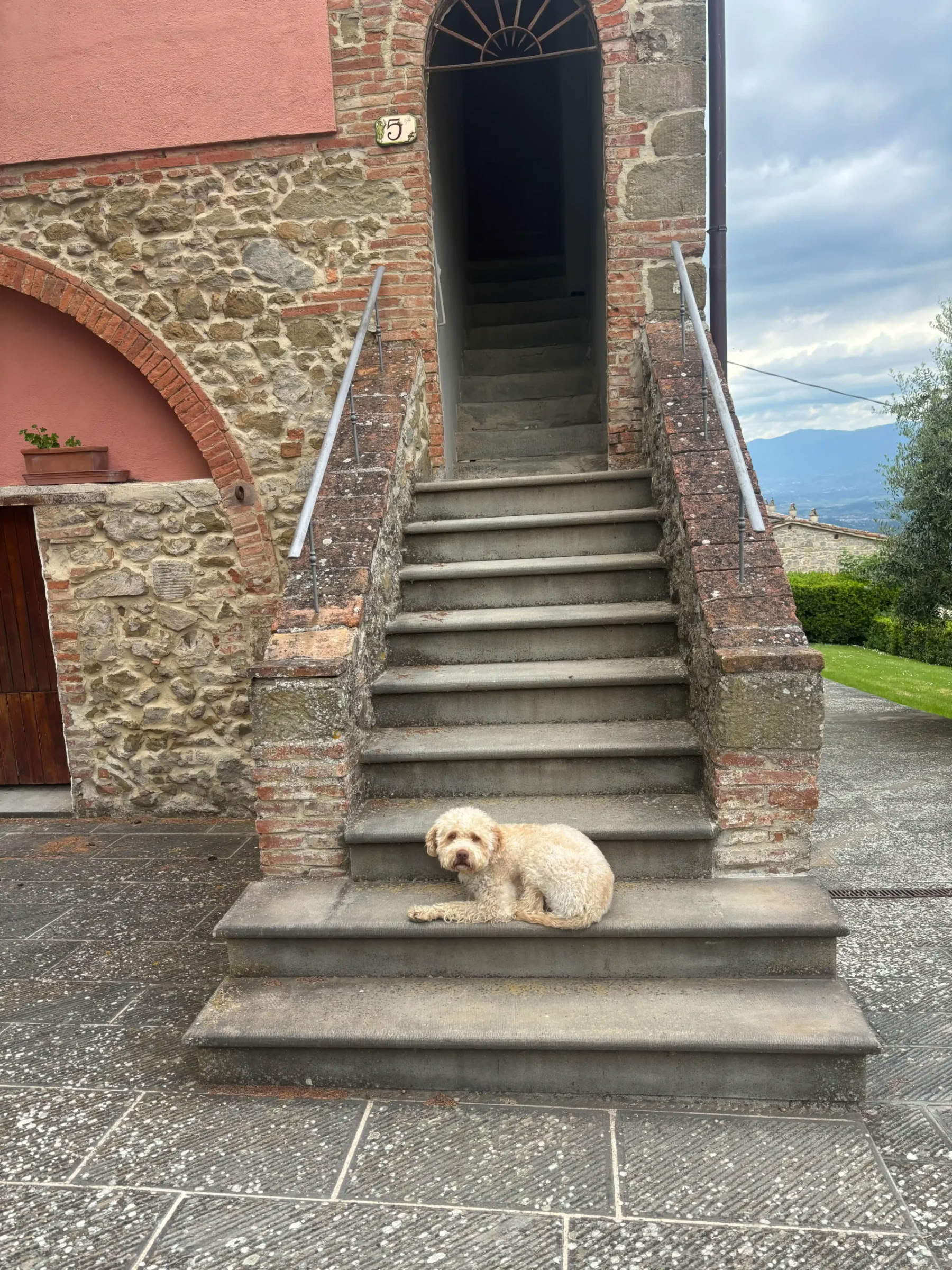 Yoga & Verwennerij