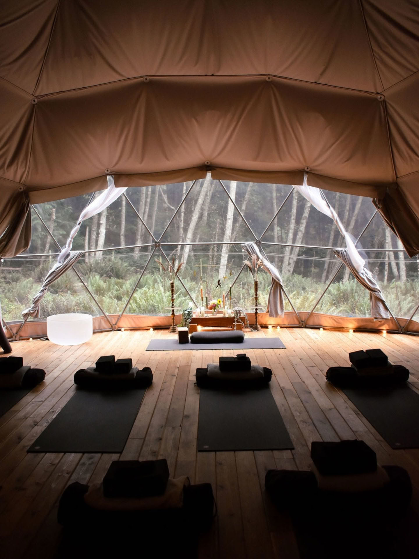 Evolve-retreat met Mikaela Millington op Bowen Island — Nectar Yoga