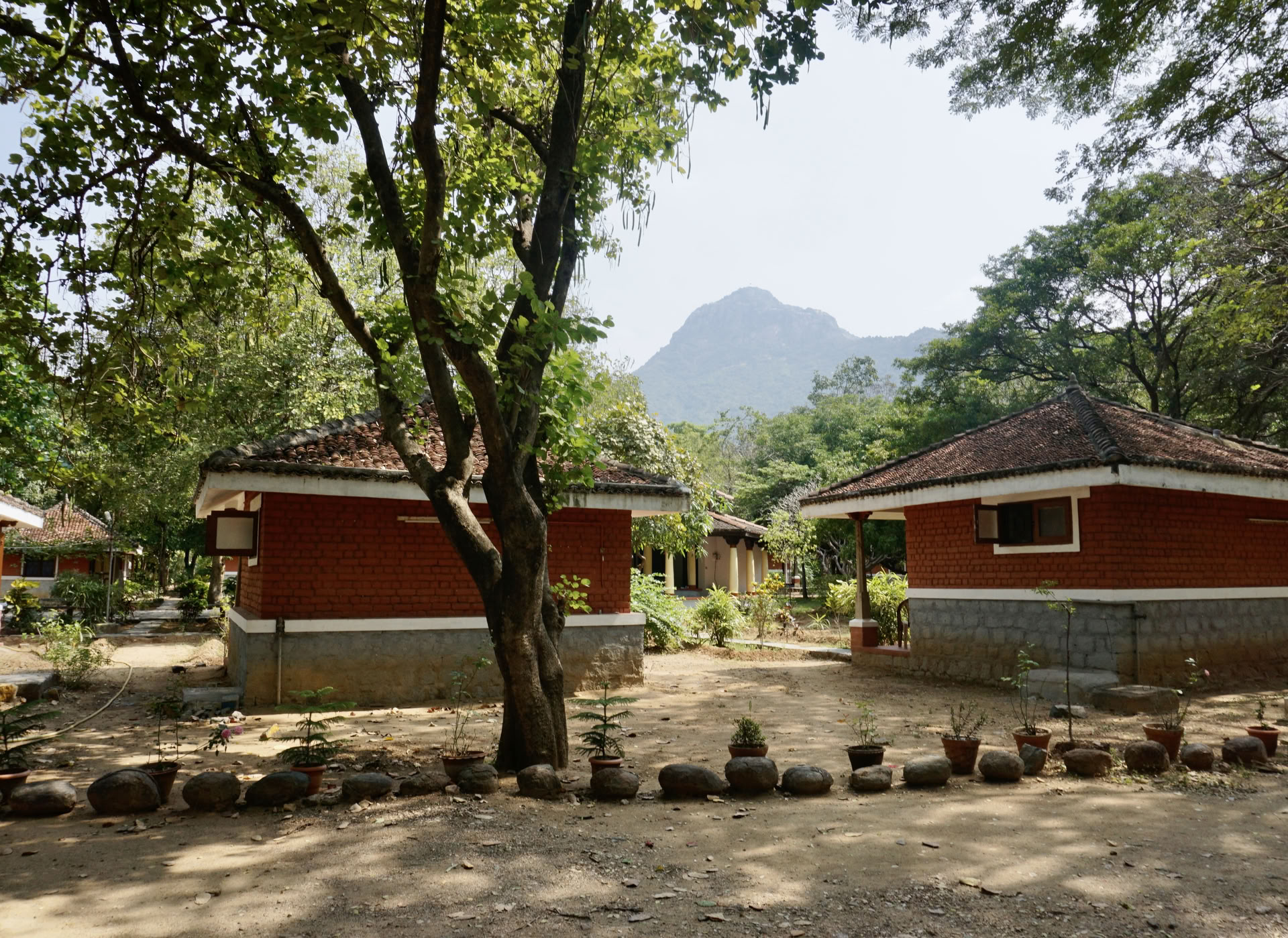 24 jan. 21-daagse stille meditatie-detox ashramretreat India