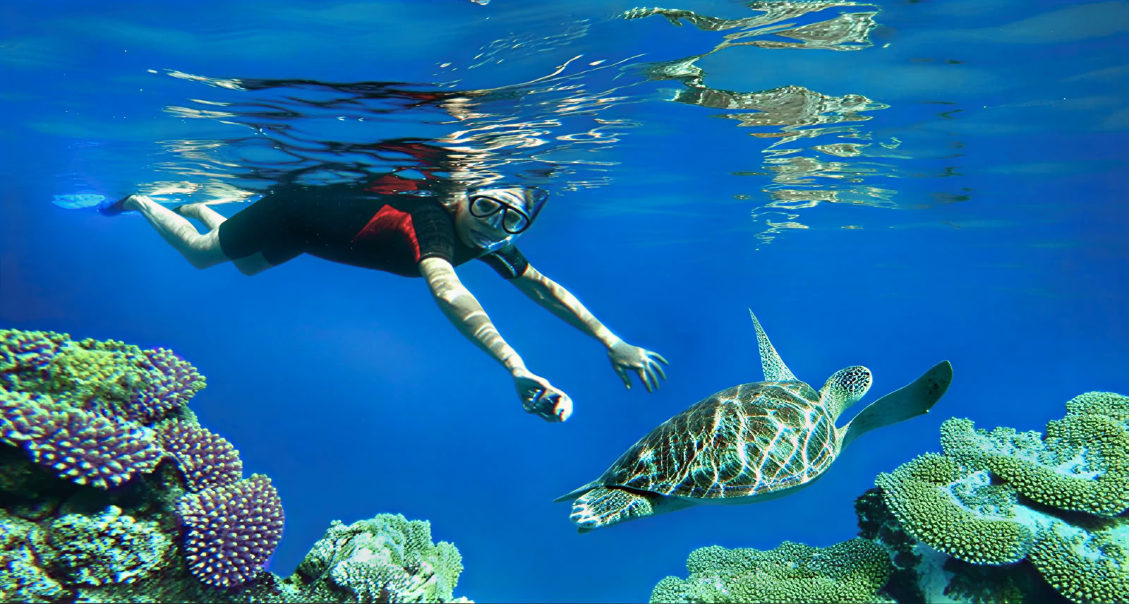 Snorkelexcursie naar Menjangan Island