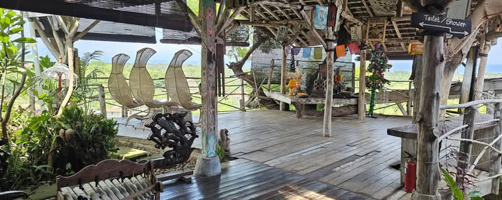 Snorkelexcursie naar Menjangan Island