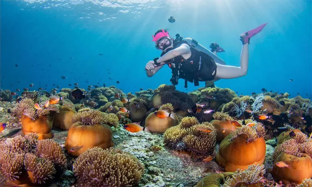 Duiken op Menjangan-eiland