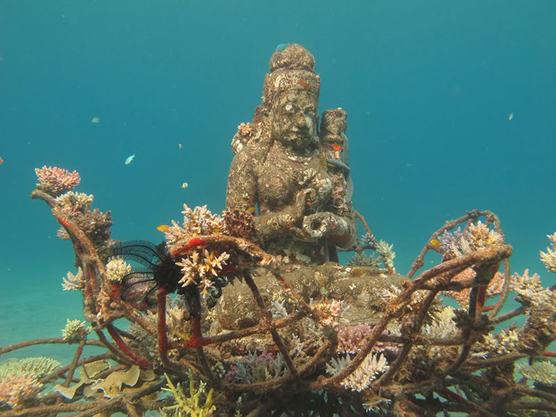 Tour door Pemuteran met snorkelen