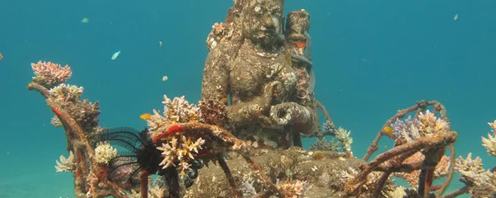 Tour door Pemuteran met snorkelen