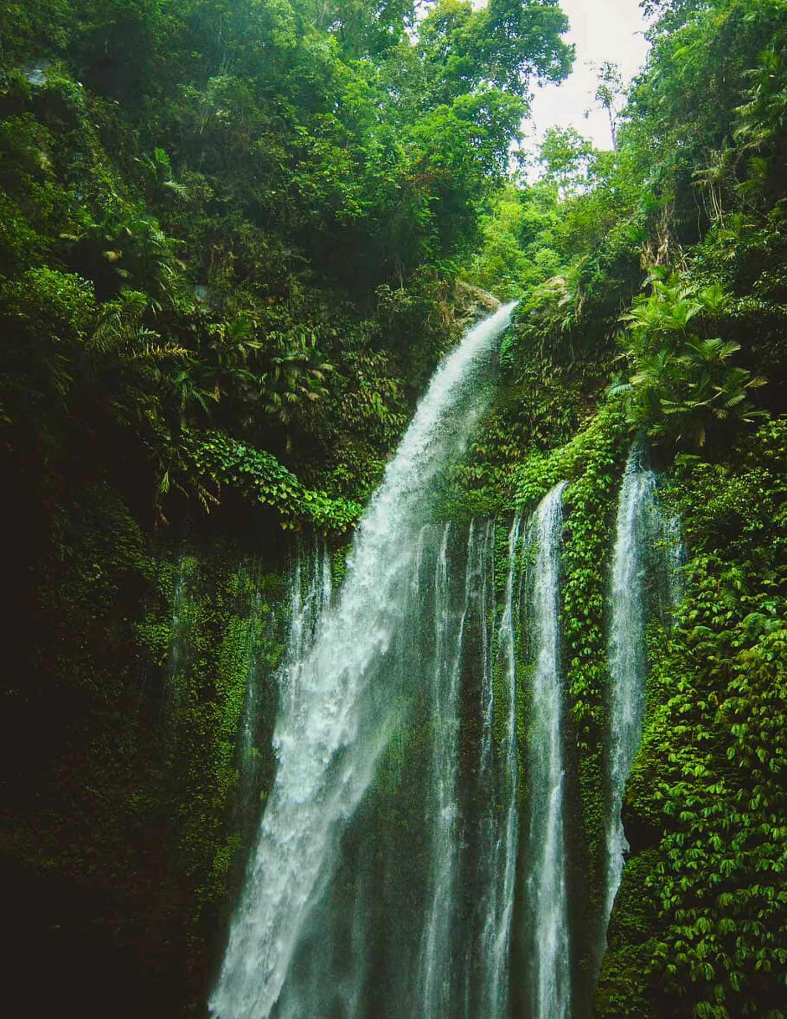 Zen-trekking en ontdekking van watervallen