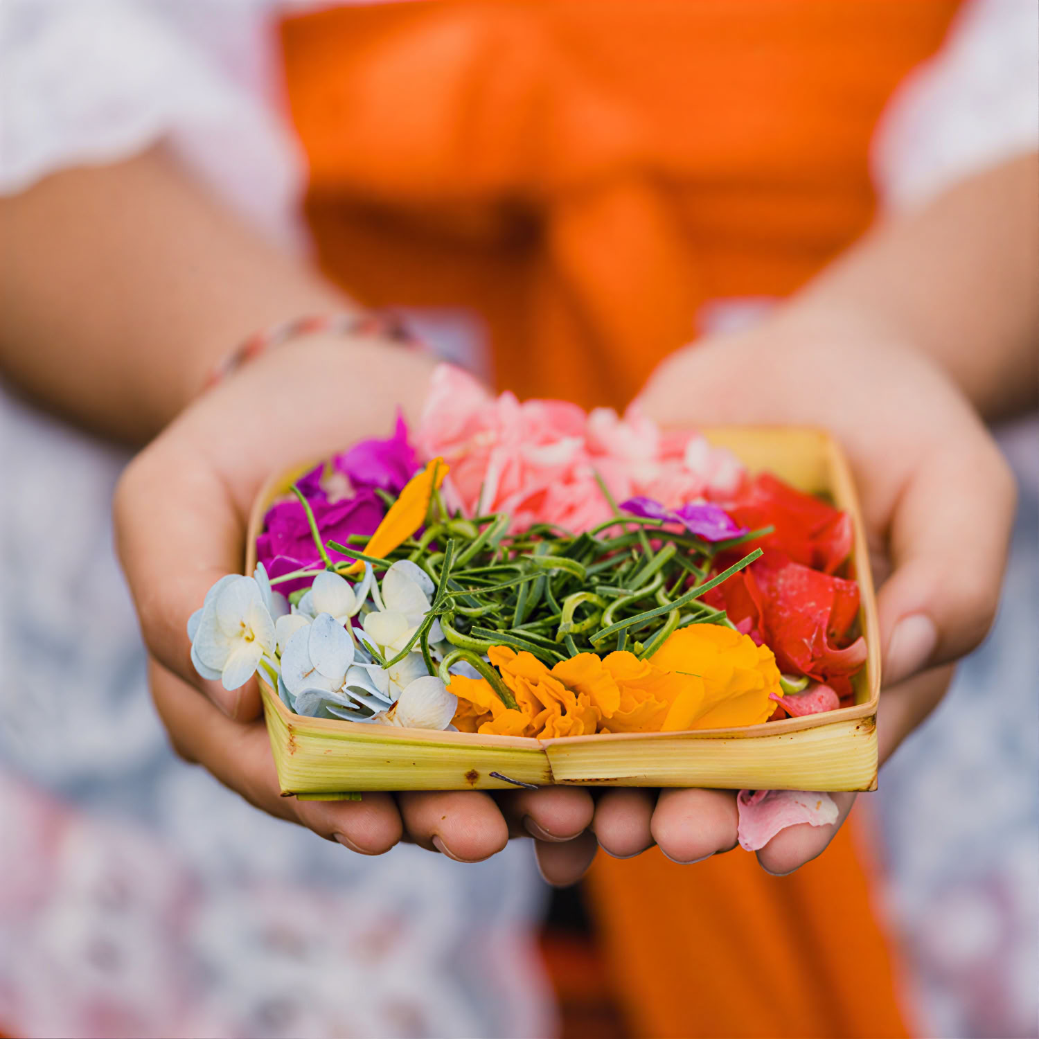 Begawan Farm-to-Table Ervaring