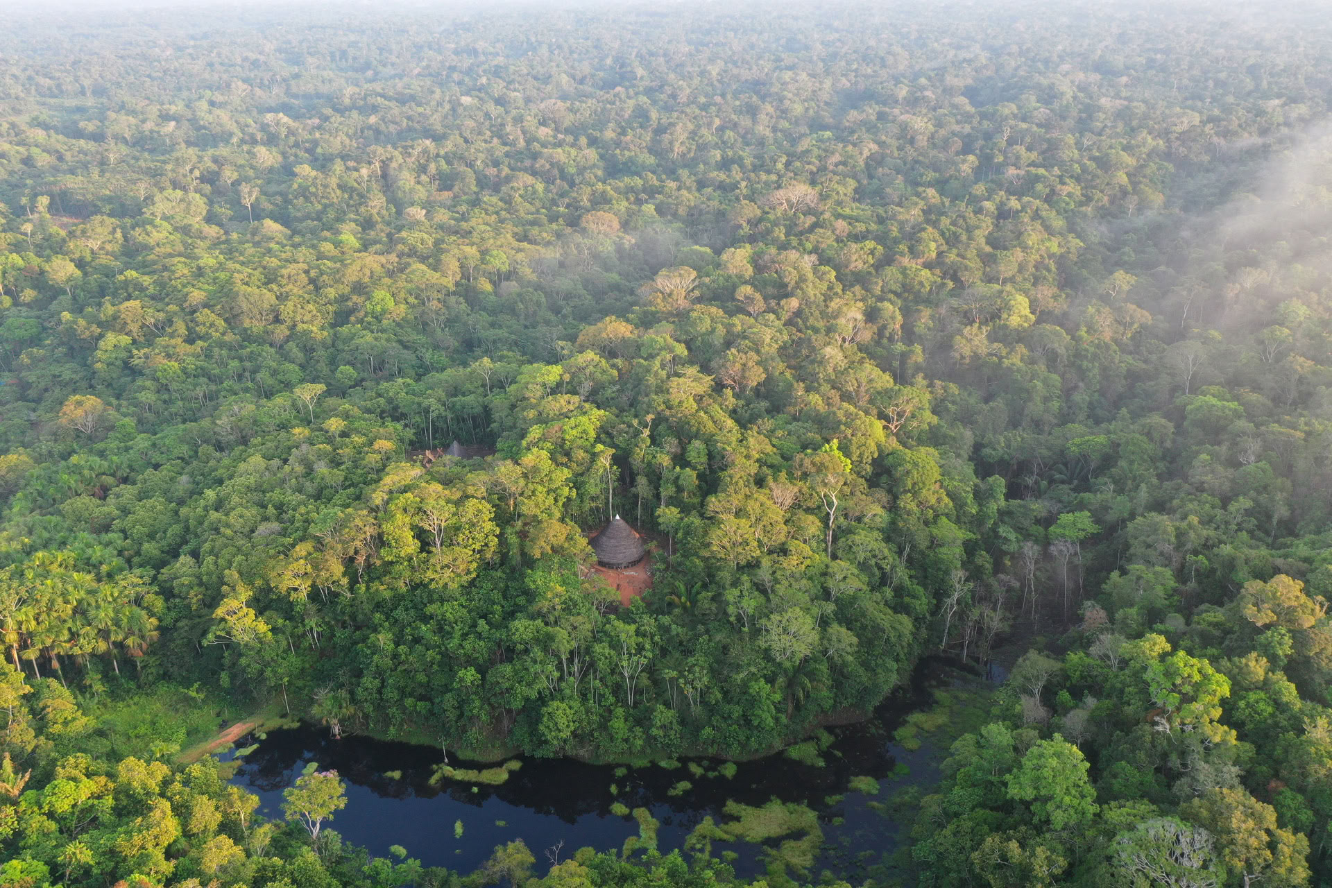 Open ayahuasca-retreat bij Psychonauta Tribe