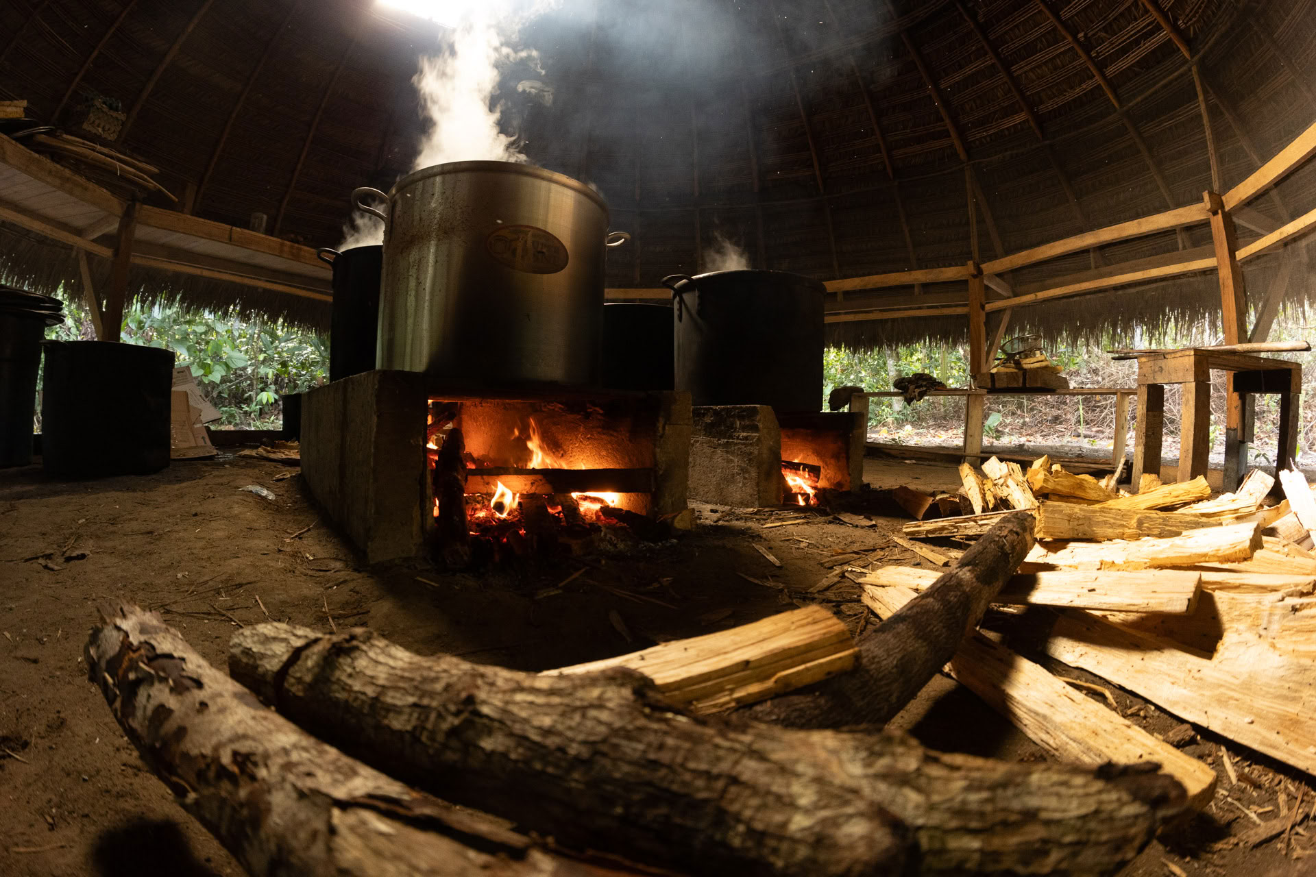 Open ayahuasca-retreat bij Psychonauta Tribe