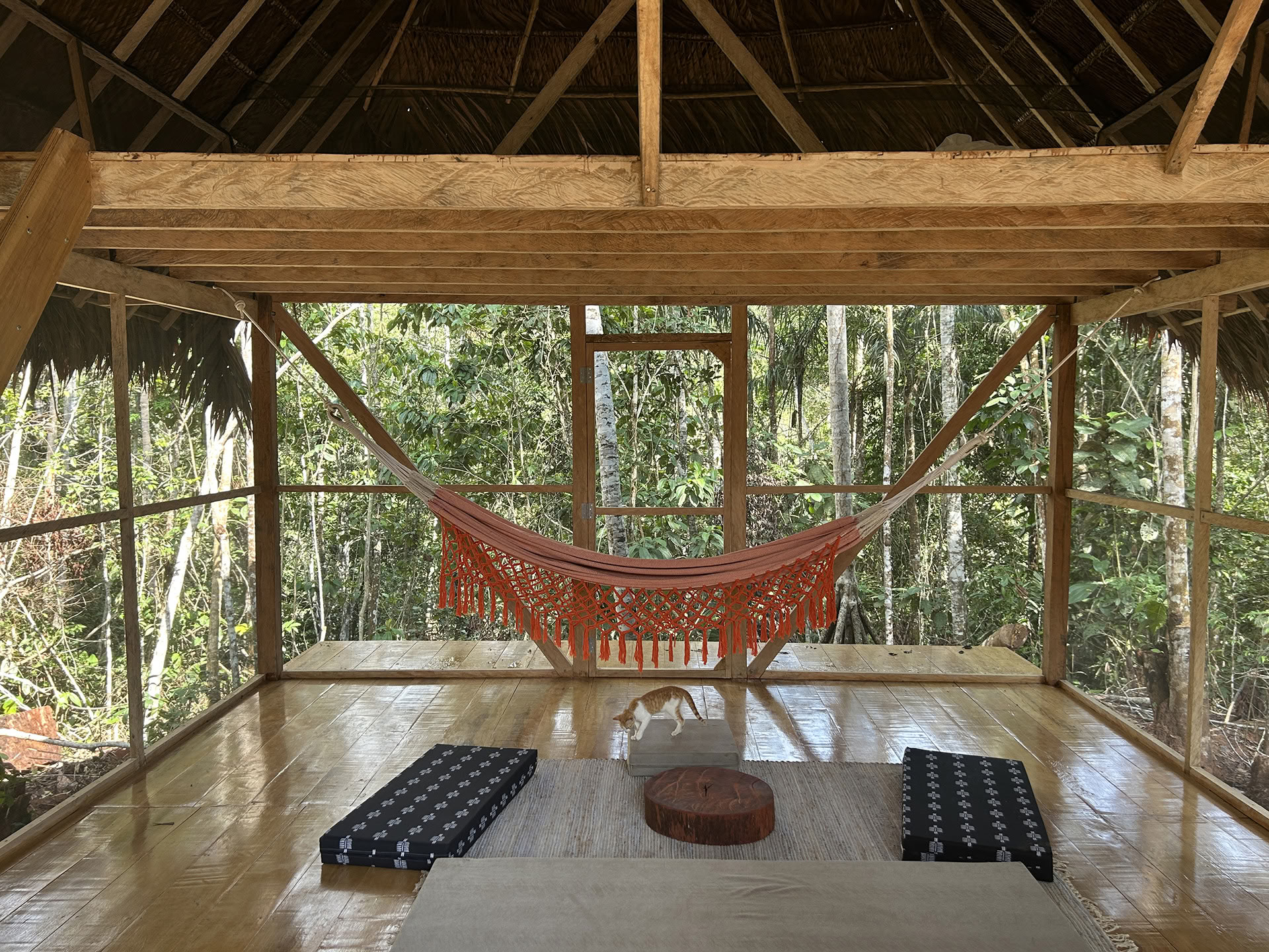 Open ayahuasca-retreat bij Psychonauta Tribe