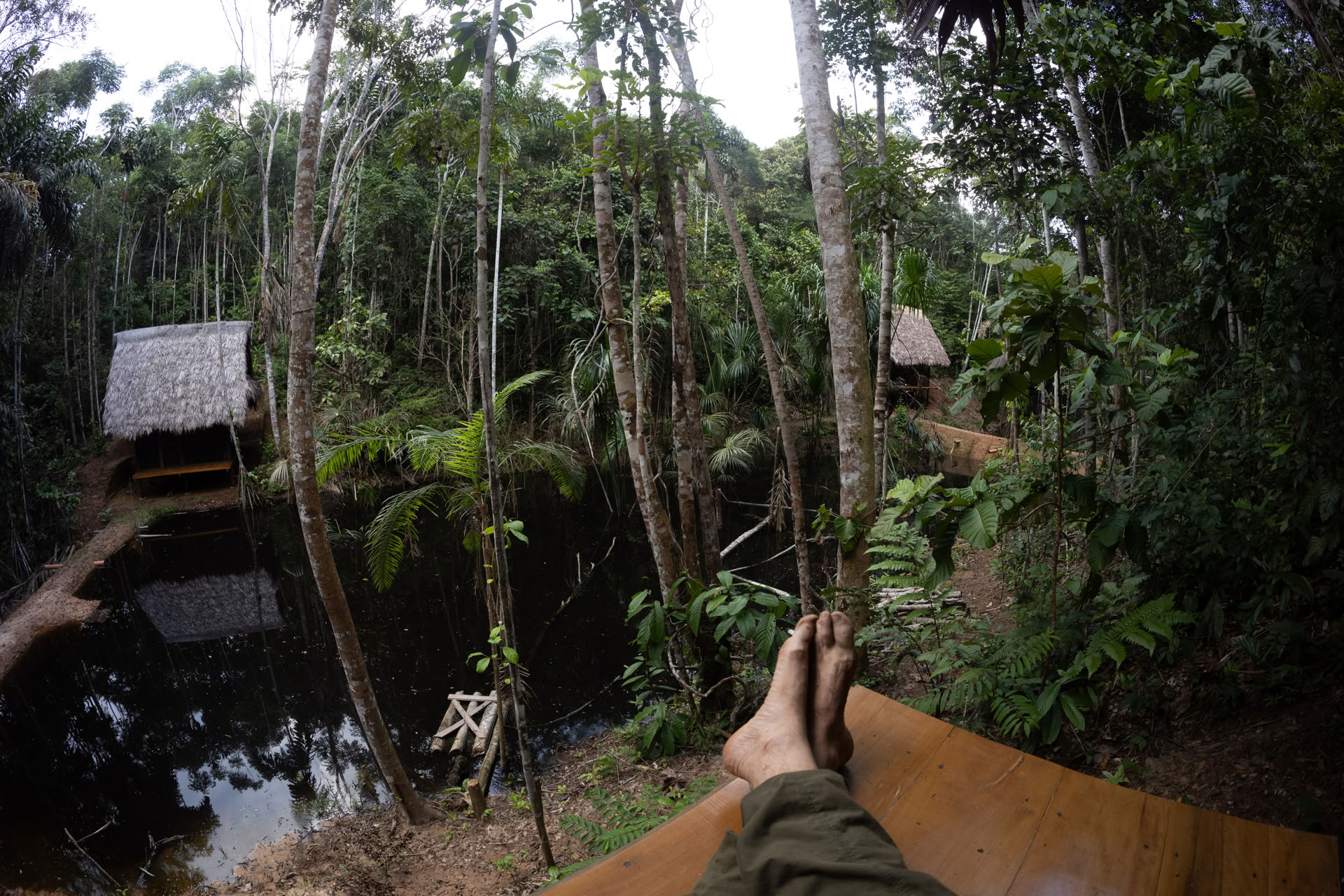 Open ayahuasca-retreat bij Psychonauta Tribe