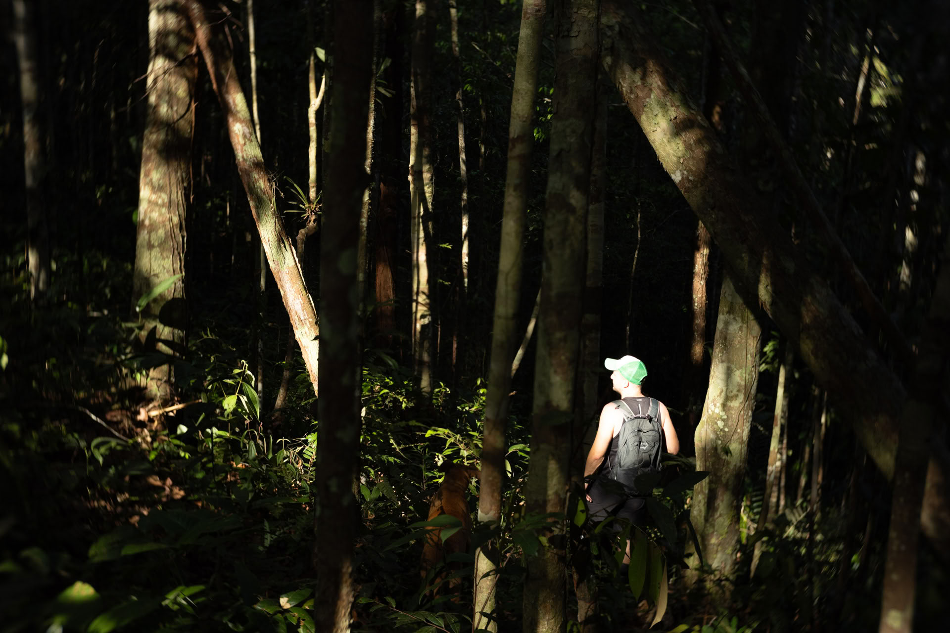 Open Ayahuasca-retreat