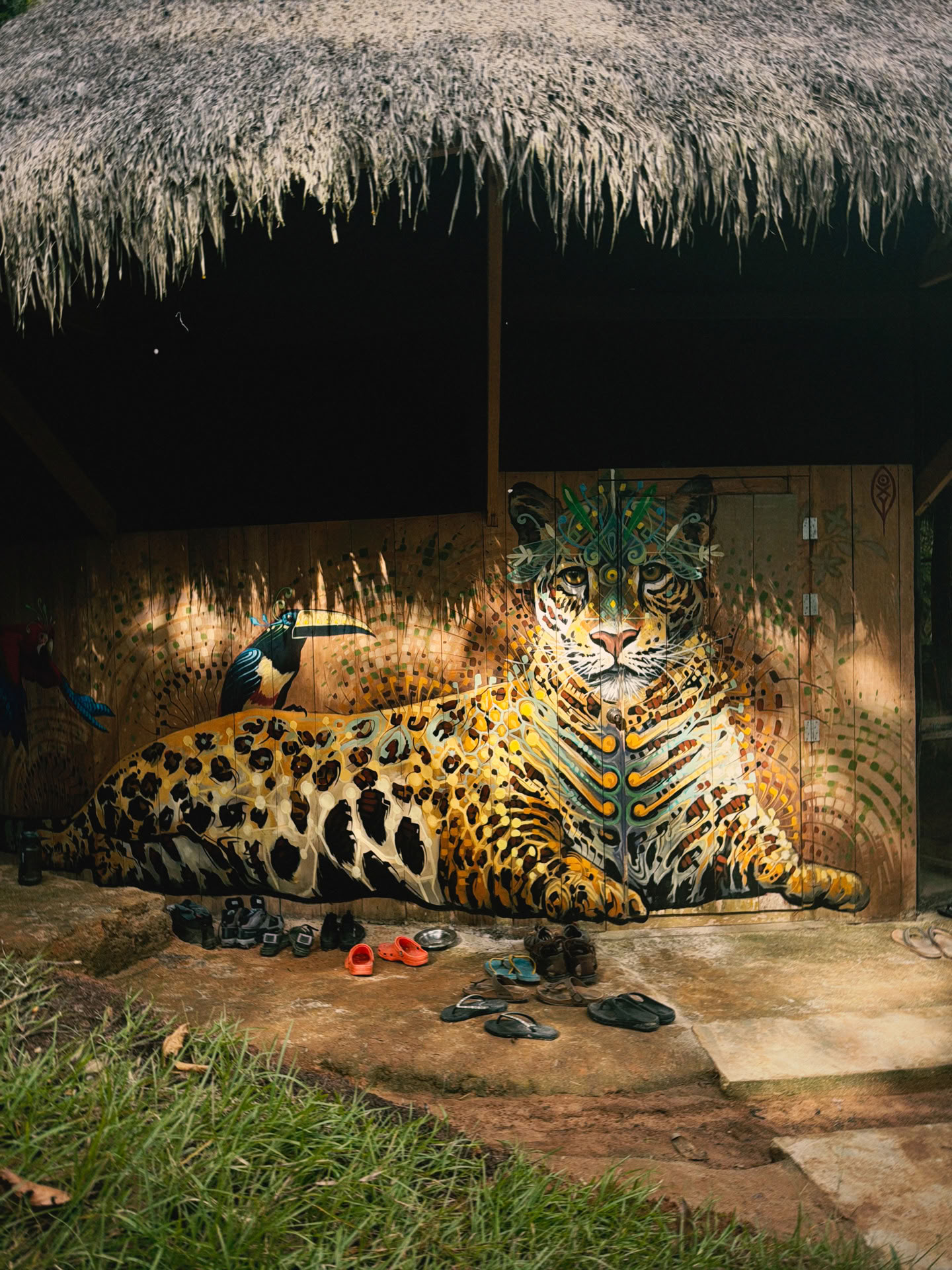 Open Ayahuasca-retreat