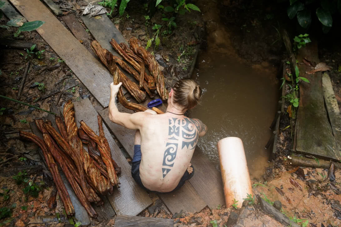 Ayahuasca-retraite & Meesterplantendieet in Peru
