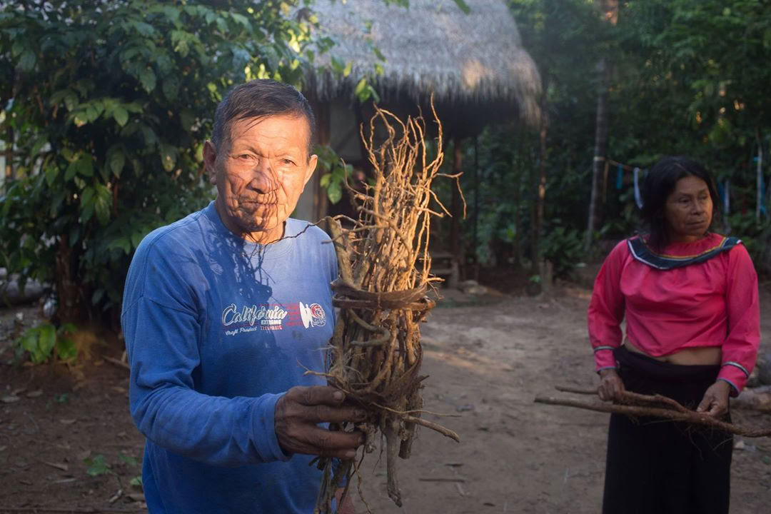 Ayahuasca-retraite & Meesterplantendieet in Peru