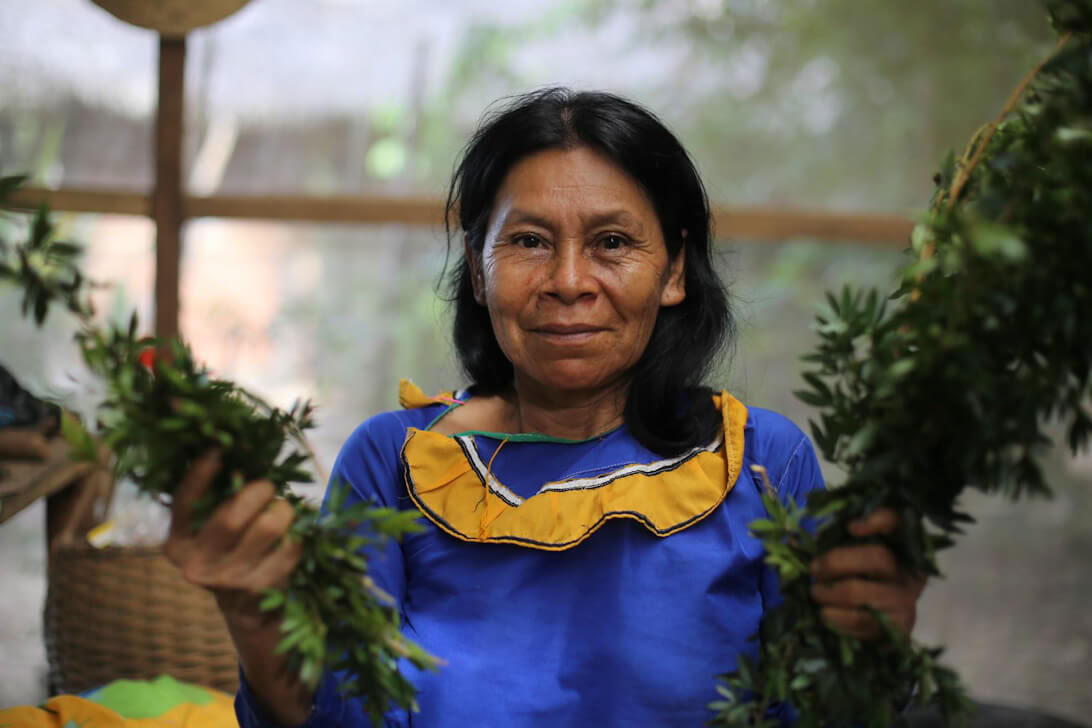 Ayahuasca-retraite & Meesterplantendieet in Peru