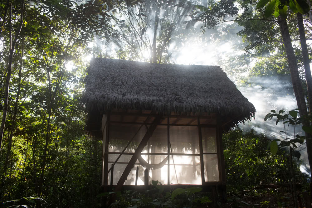 Ayahuasca-retraite & Meesterplantendieet in Peru