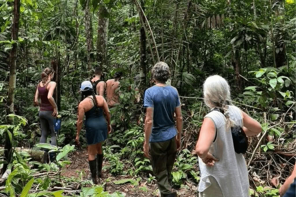 Amazone - Blue Morpho Lodge 3 ayahuasca & 1 San Pedro