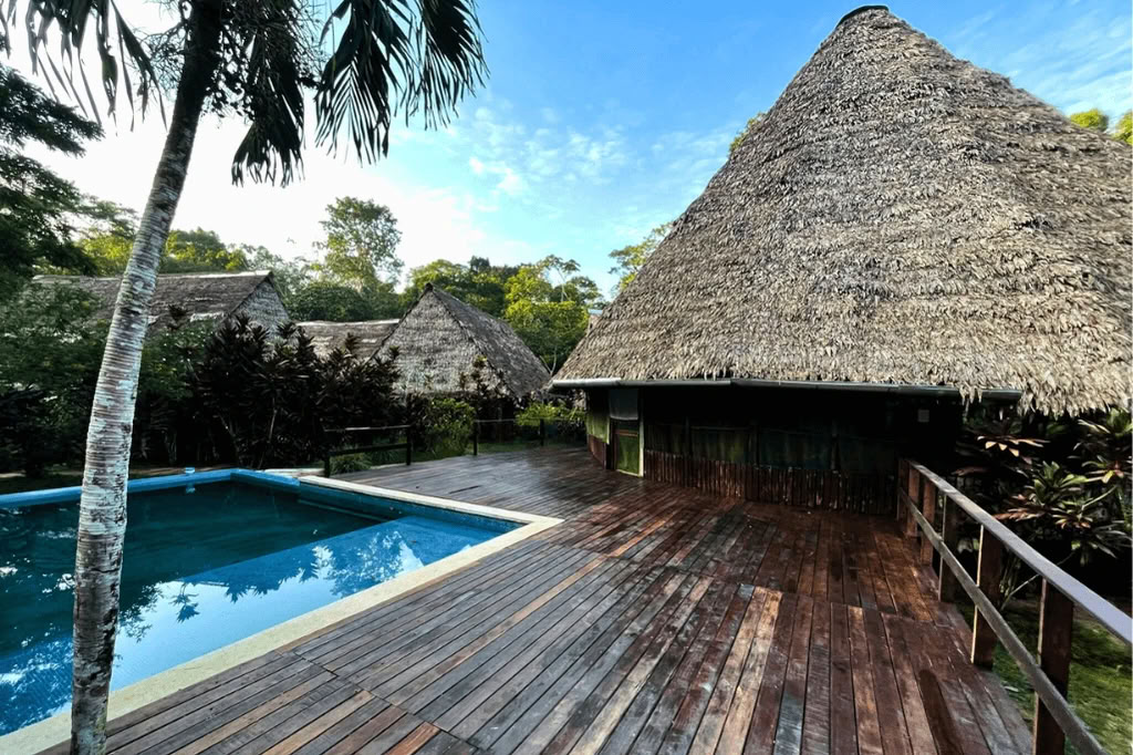 Amazone - Blue Morpho Lodge 3 ayahuasca & 1 San Pedro
