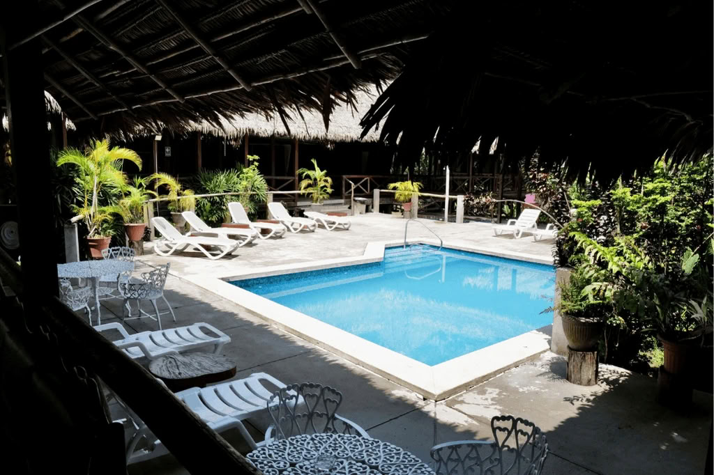 Amazone - Blue Morpho Lodge 3 ayahuasca & 1 San Pedro