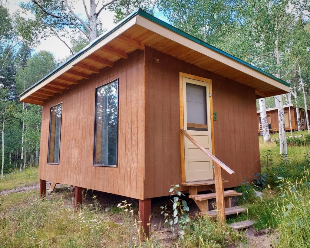 Ontwaak in het Wild (oktober): Verkennen van Wijsheid en Ontwaken in de Natuur