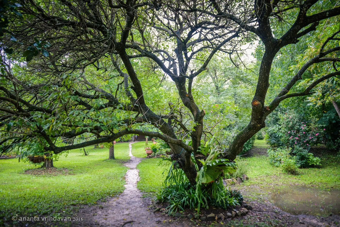 Wild Wellness-vrouwenretraite