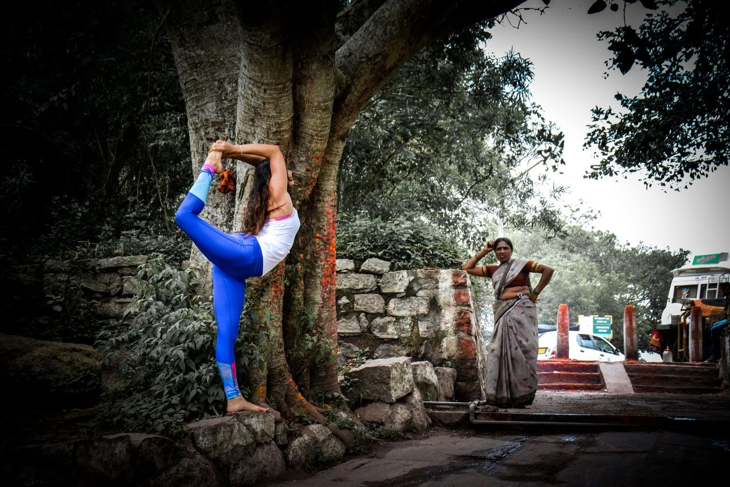 Spirit van de Himalaya'-tour + Holi-festival in India