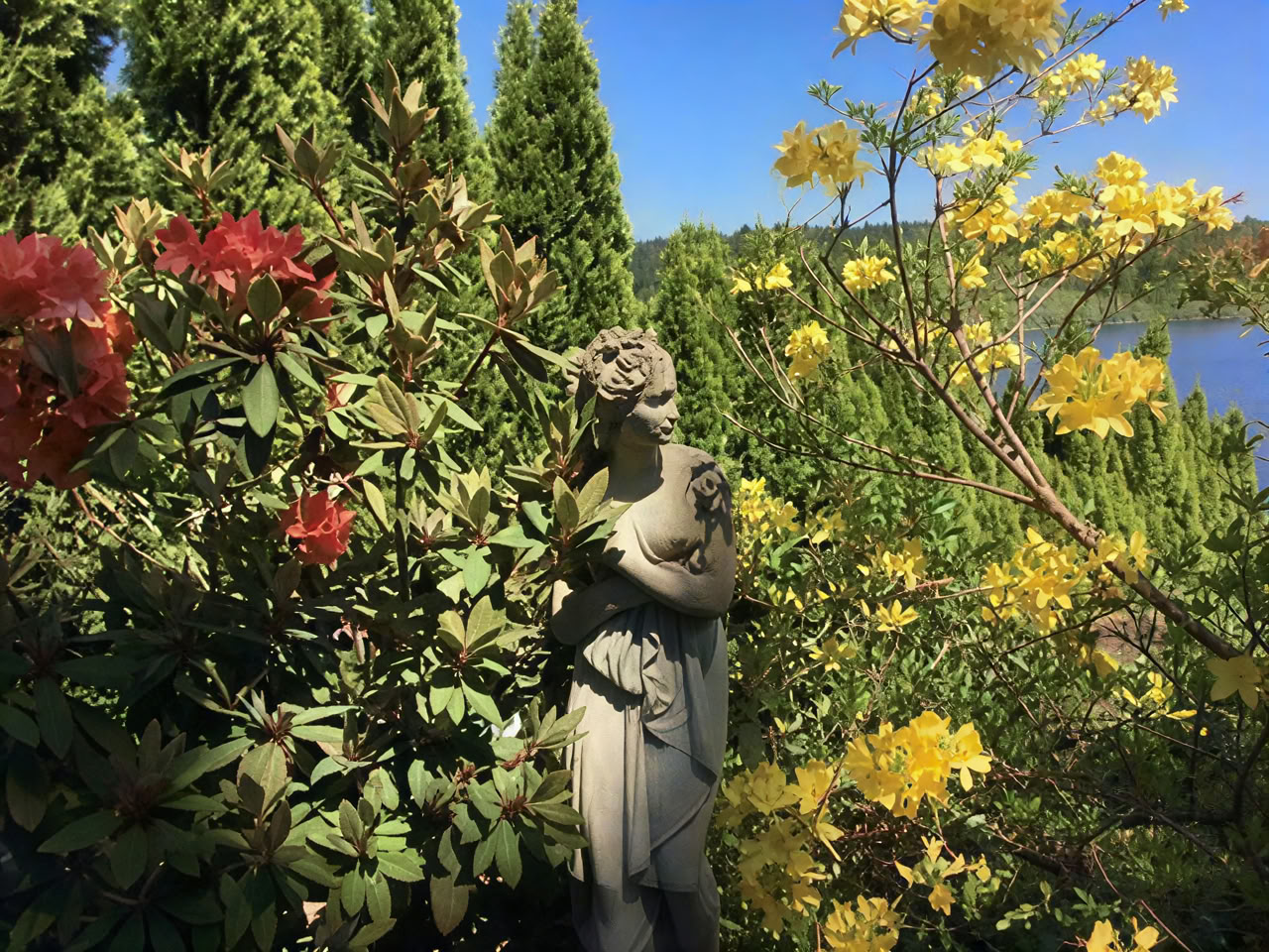 Spiritueel retraite in Cottage Lake Bed and Breakfast