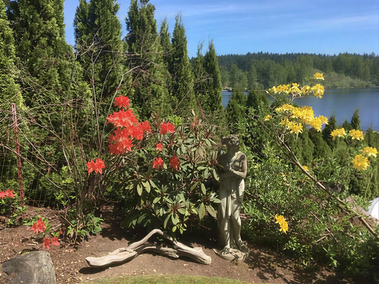 Spiritueel retraite in Cottage Lake Bed and Breakfast
