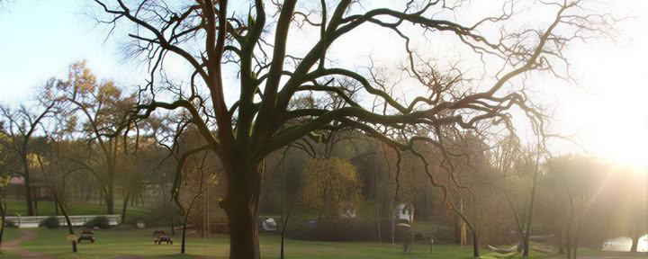 Ashram Heilige Tour – Introductie tot Sivananda-yoga