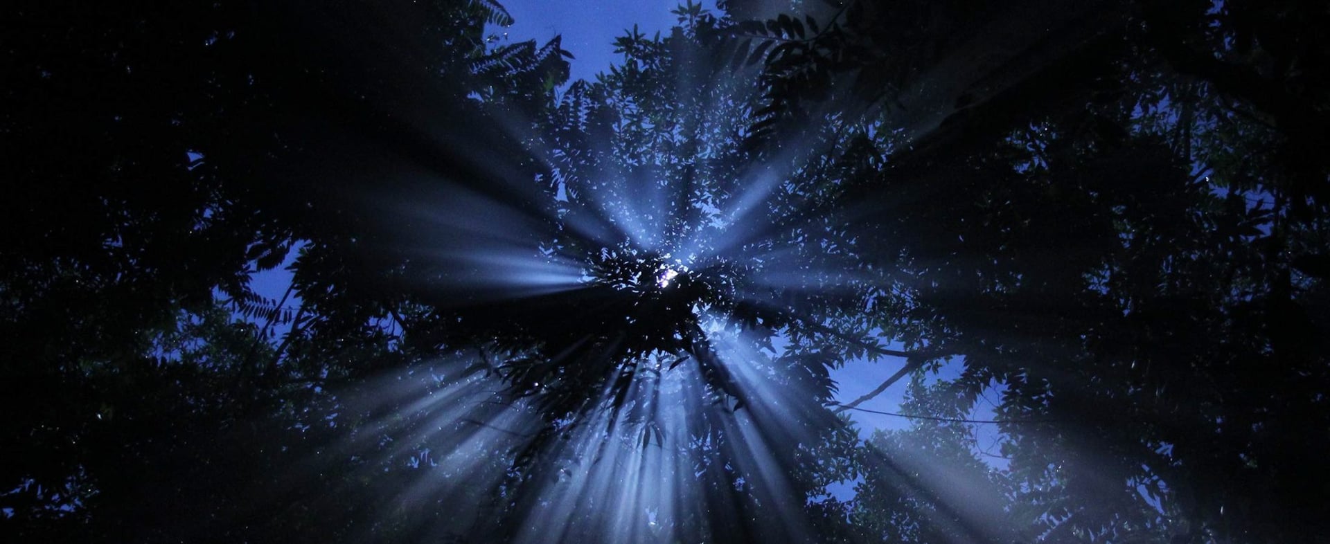 Ayahuasca Helingsretraite + 5-daagse Integratieretraite