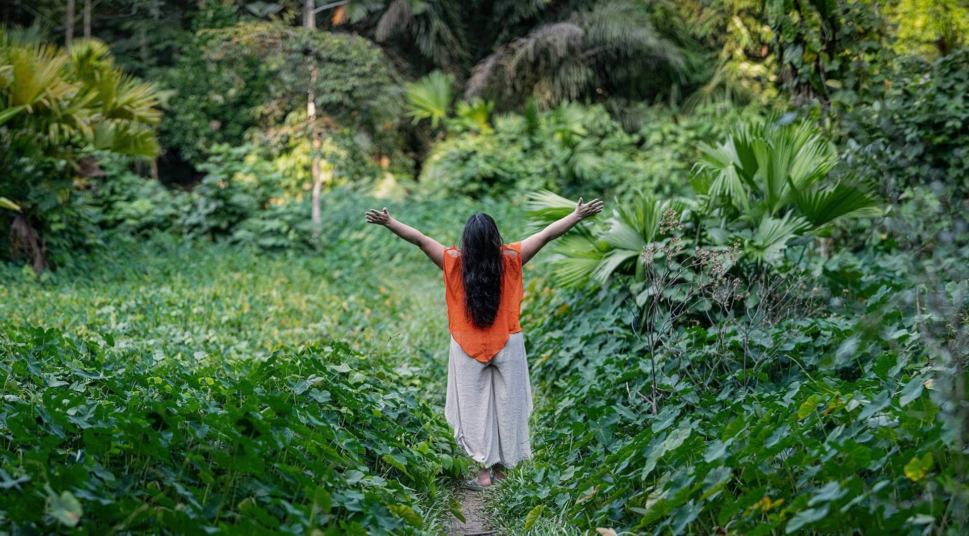 Ayahuasca Helingsretraite + 5-daagse Integratieretraite