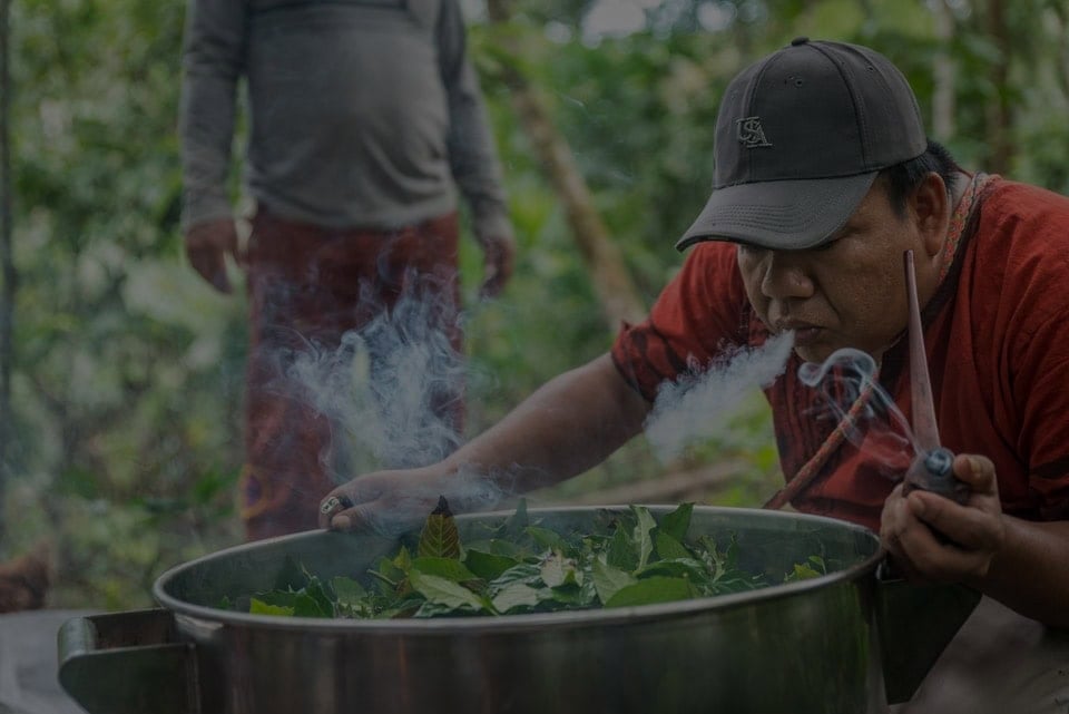 Ayahuasca-healingretraite voor vrouwen