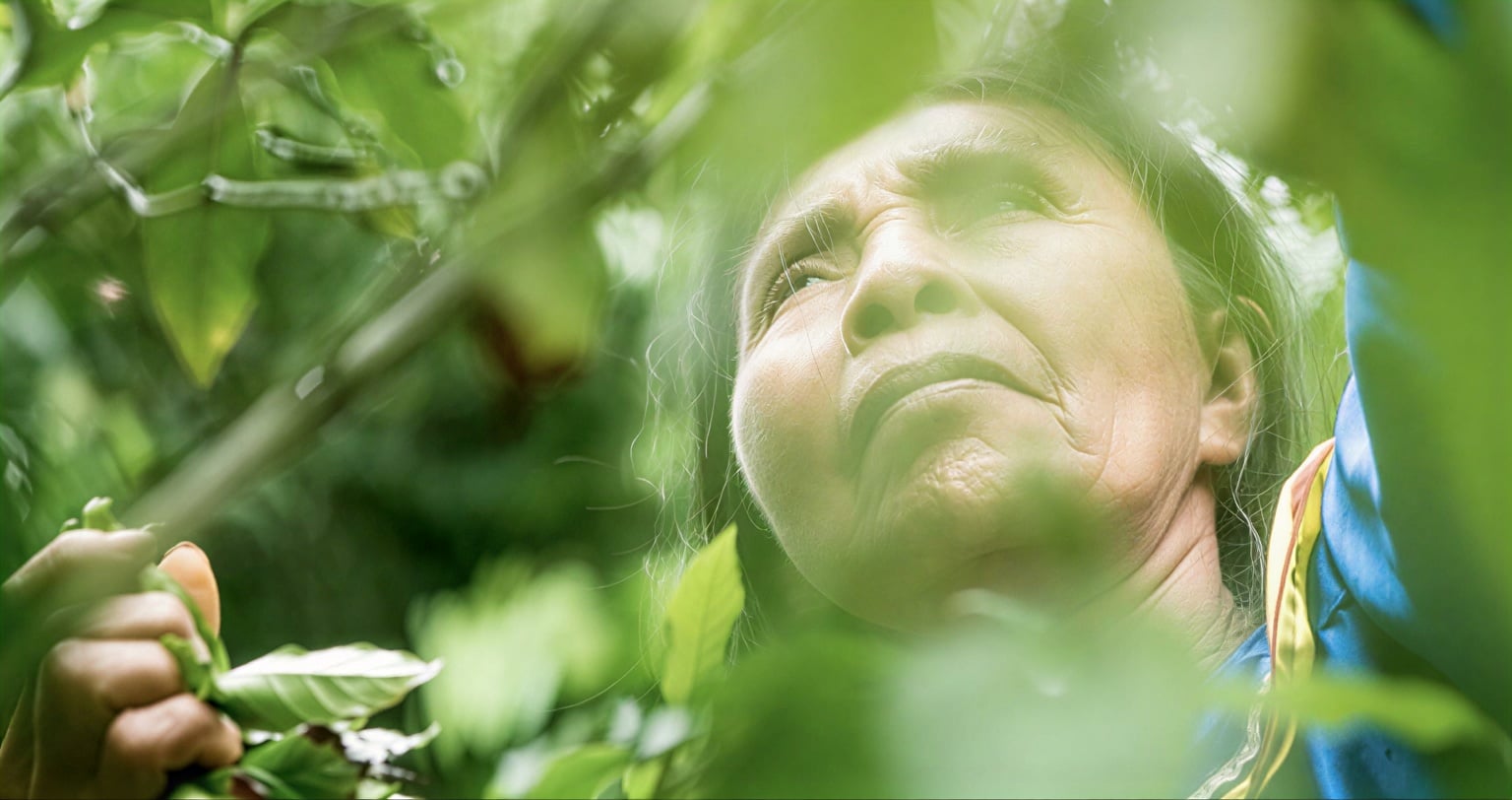 Ayahuasca-healingretraite voor vrouwen