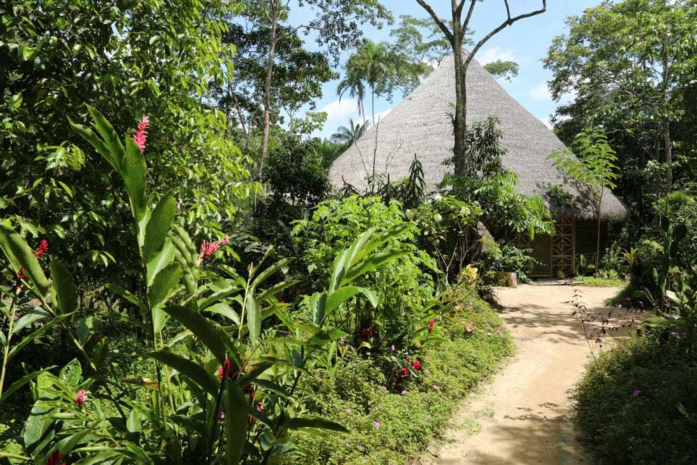 Ayahuasca-healingretraite voor vrouwen