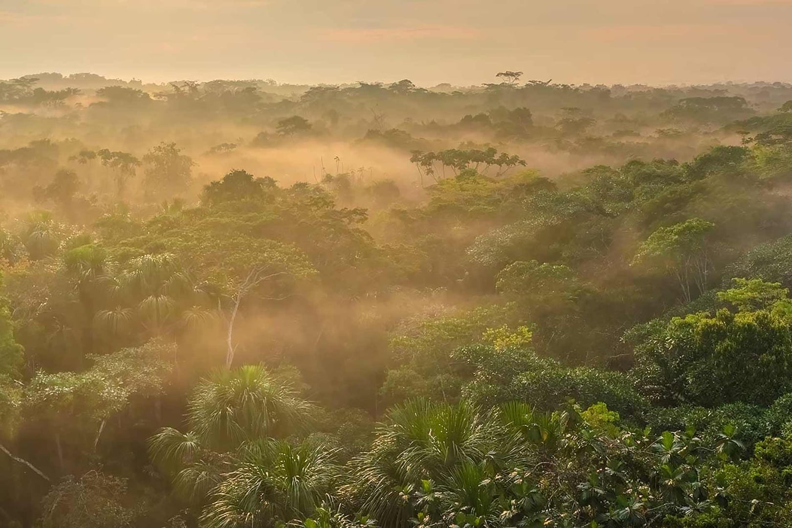 Retraite met ayahuasca voor zorgprofessionals 2026