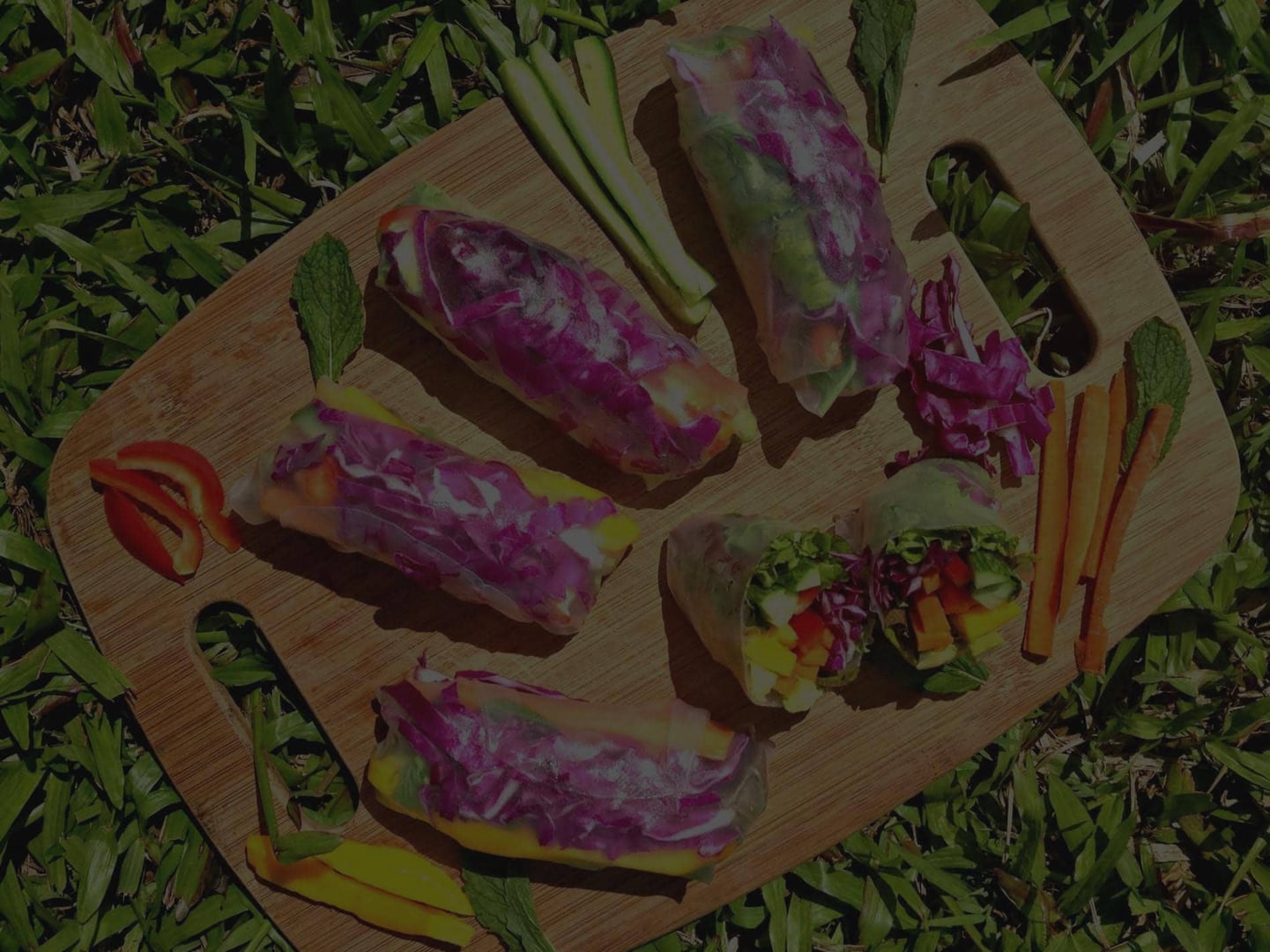 Retraite met ayahuasca voor zorgprofessionals 2026