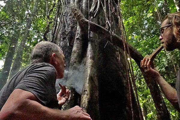 8-week ayahuasca-initiatiecursus