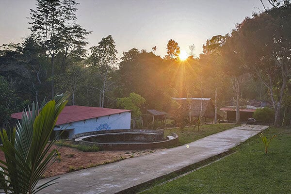 Achtweekse Shipibo-ayahuasca-inwijdingscursus in Peru – 4 oktober - 28 november 2026