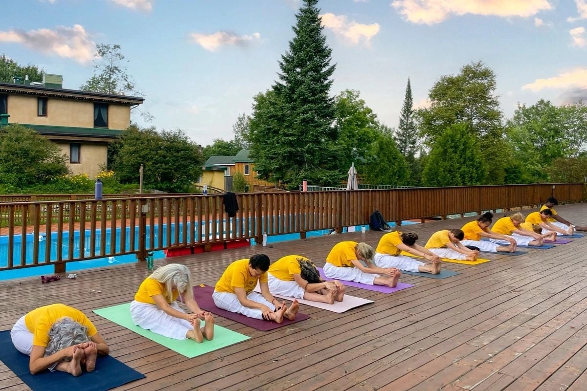 Geavanceerde Opleiding voor Yogadocenten (ATTC)