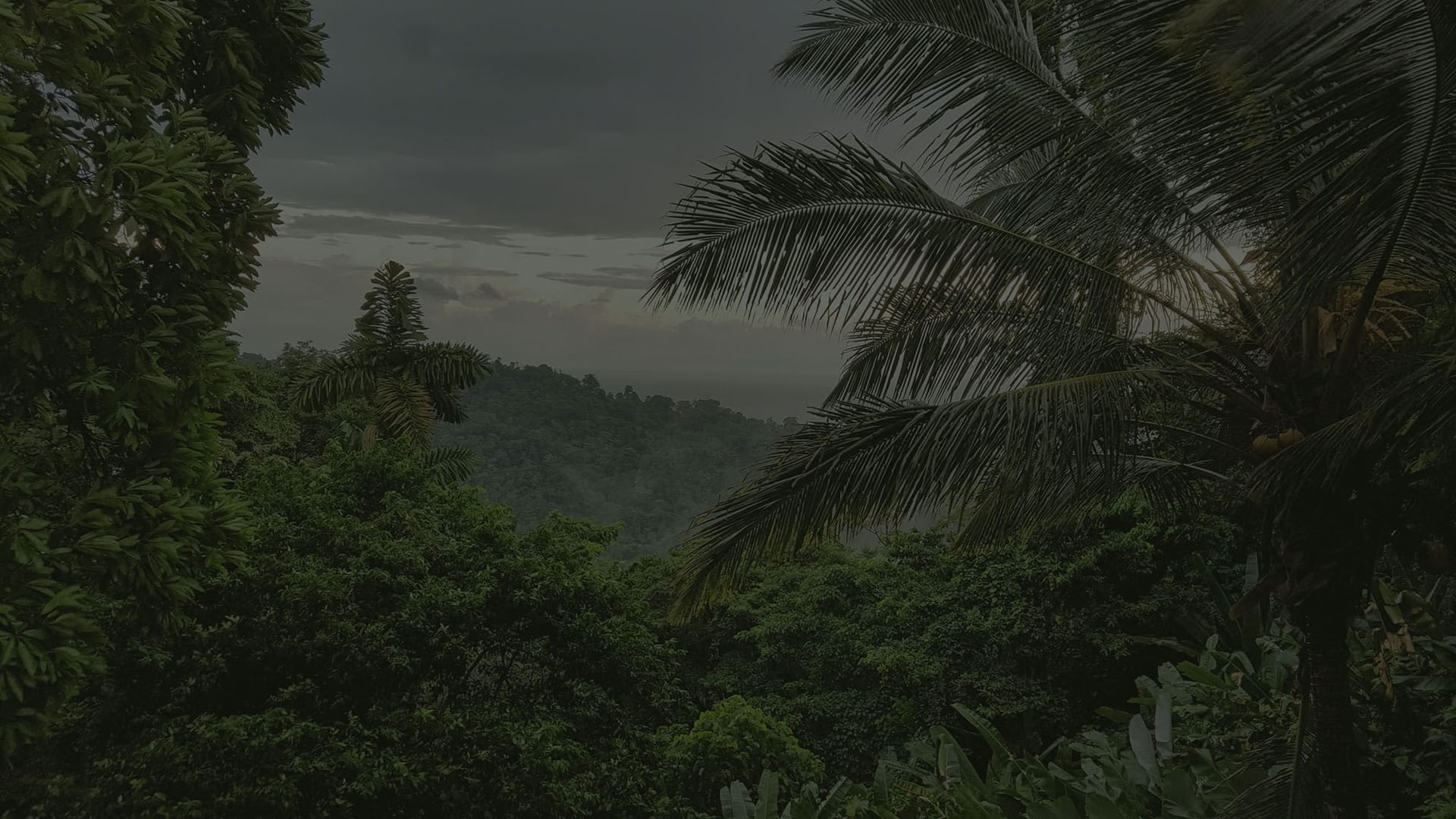 Caribisch geliefdenpakket