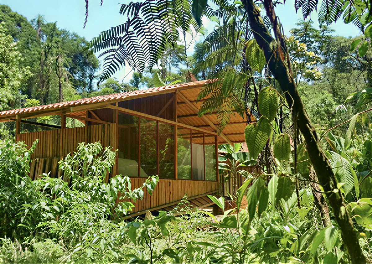 5-daagse ayahuasca-retreat in Ecuador