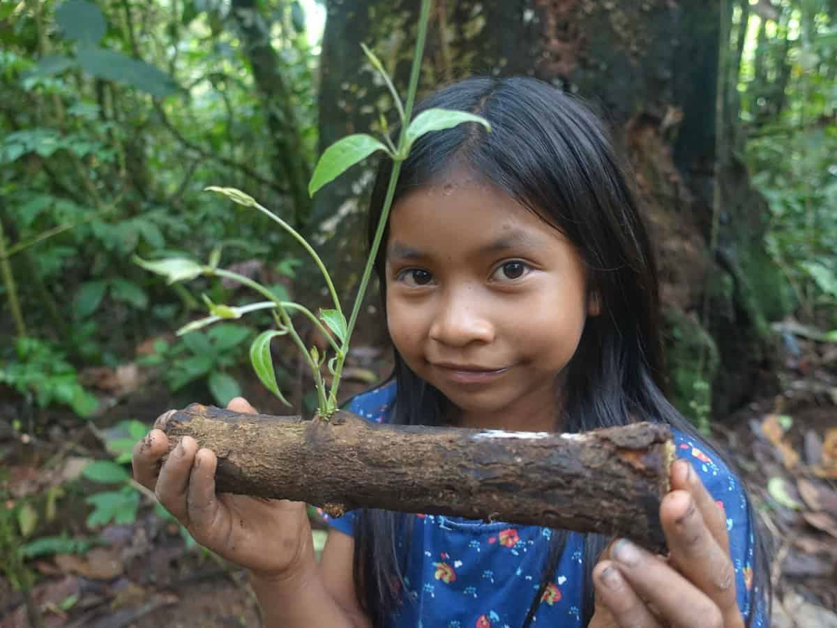 Ayahuasca-ceremonie in Ecuador