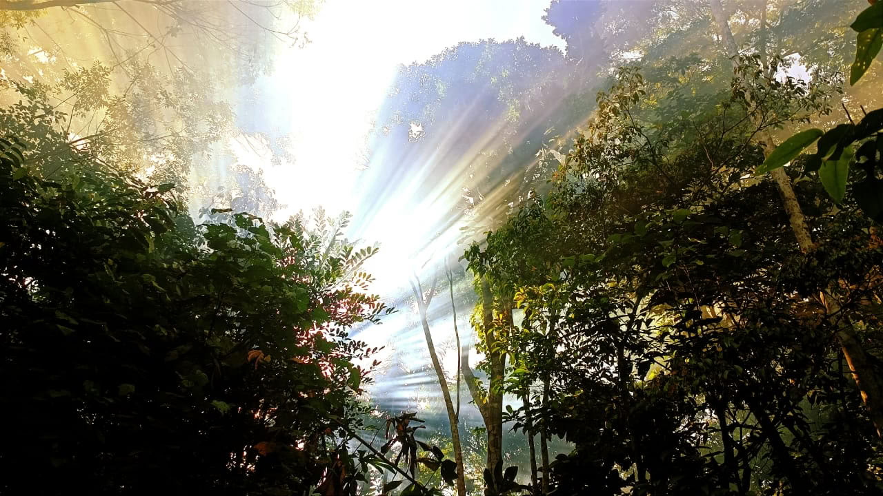 Ayahuasca en Machu Picchu 13-daagse retraite