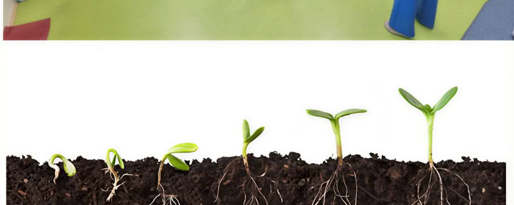 Meditatieschool – 8. Meditatie - Eenheid van lichaam, geest en ziel