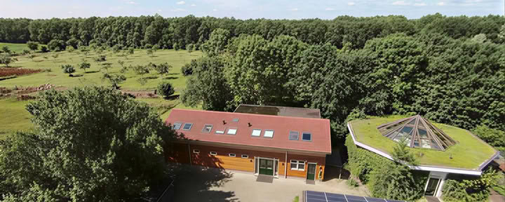 Geavanceerde Essentie Natuurretraite voor mannen (4-daags)