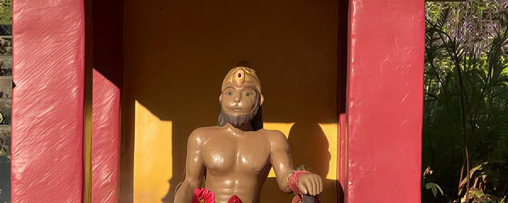 Hanuman-puja