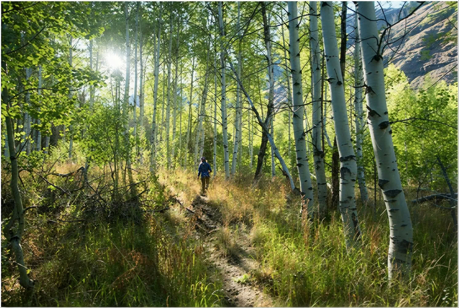 Hart van de Berg-sesshin: een wandel-sesshin in het Bells Mountain Dharma Center