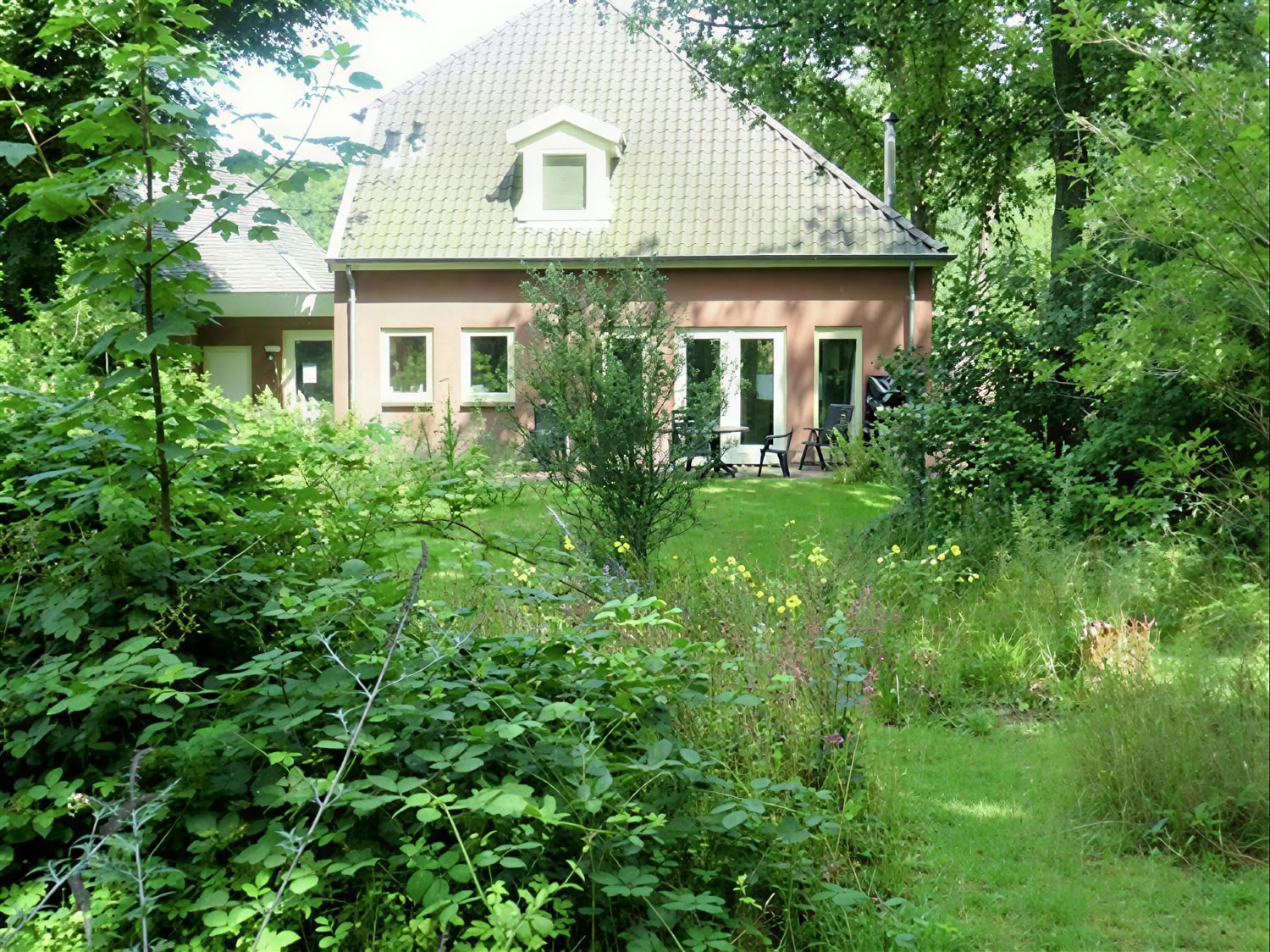 Privé psilocybine-retreat: 4 dagen, 2 psilocybine-sessies