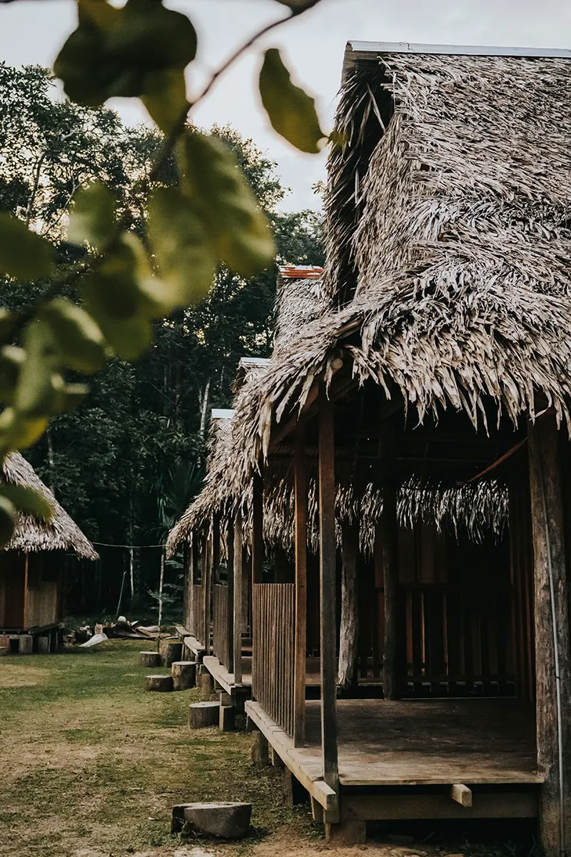 11-daagse ayahuasca-retreat in Peru – 31 augustus - 10 september 2026 | Shipibo-heling & integratie